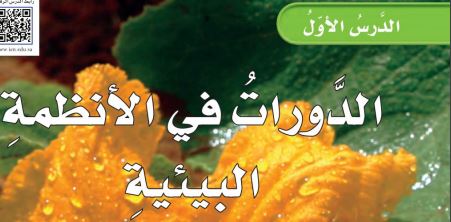 الدورات في الانظمة البيئية